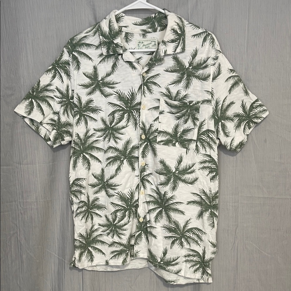 American Eagle Outfitters Green and White Casual Button Down Shirt